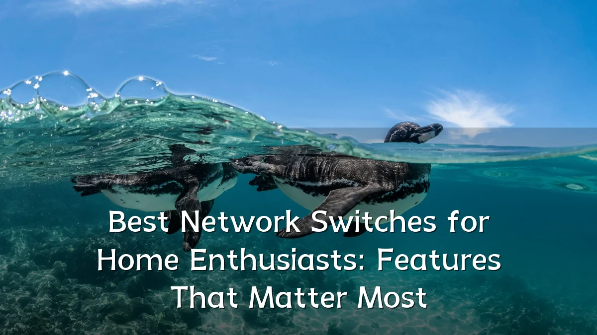 Best Network Switches for Home Enthusiasts: Features That Matter Most