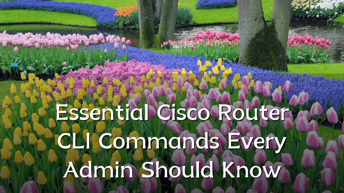 Essential Cisco Router CLI Commands Every Admin Should Know
