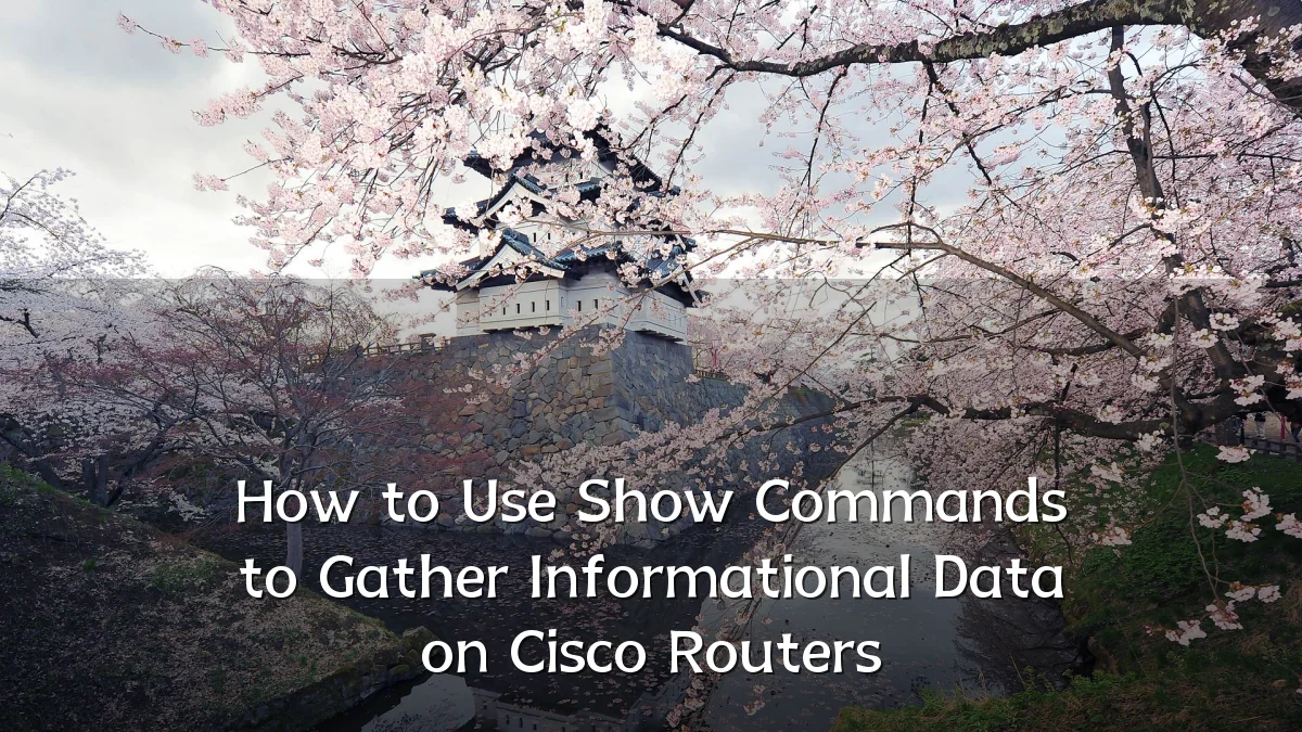 How to Use Show Commands to Gather Informational Data on Cisco Routers