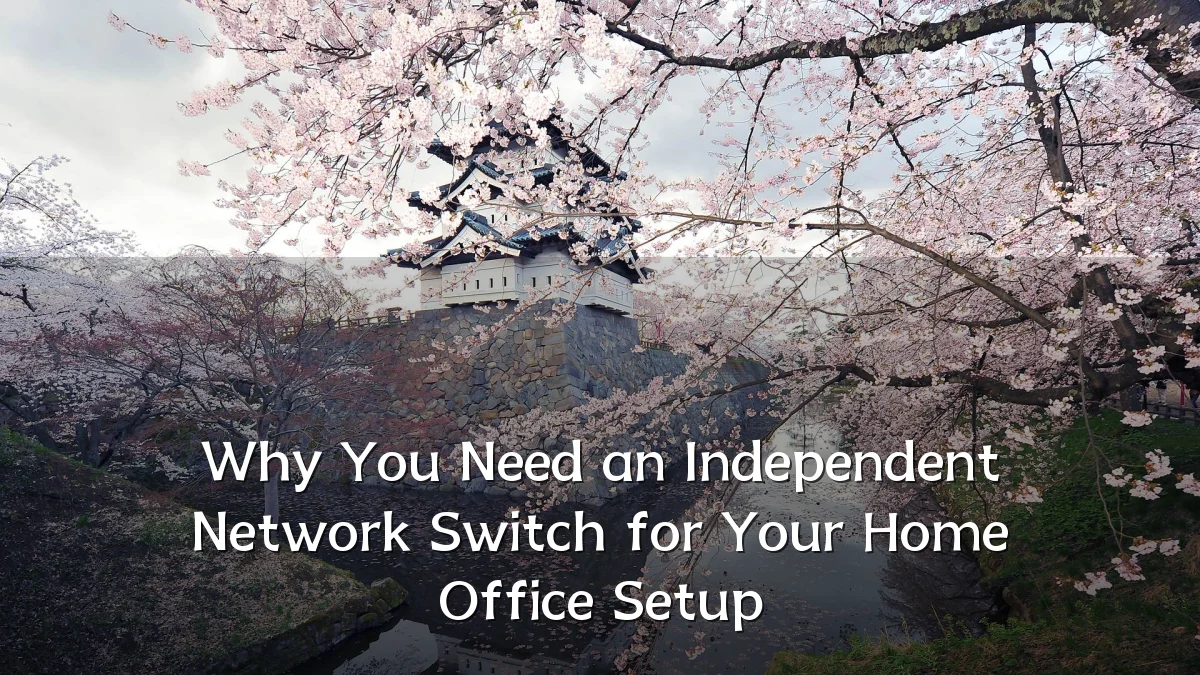 Why You Need an Independent Network Switch for Your Home Office Setup