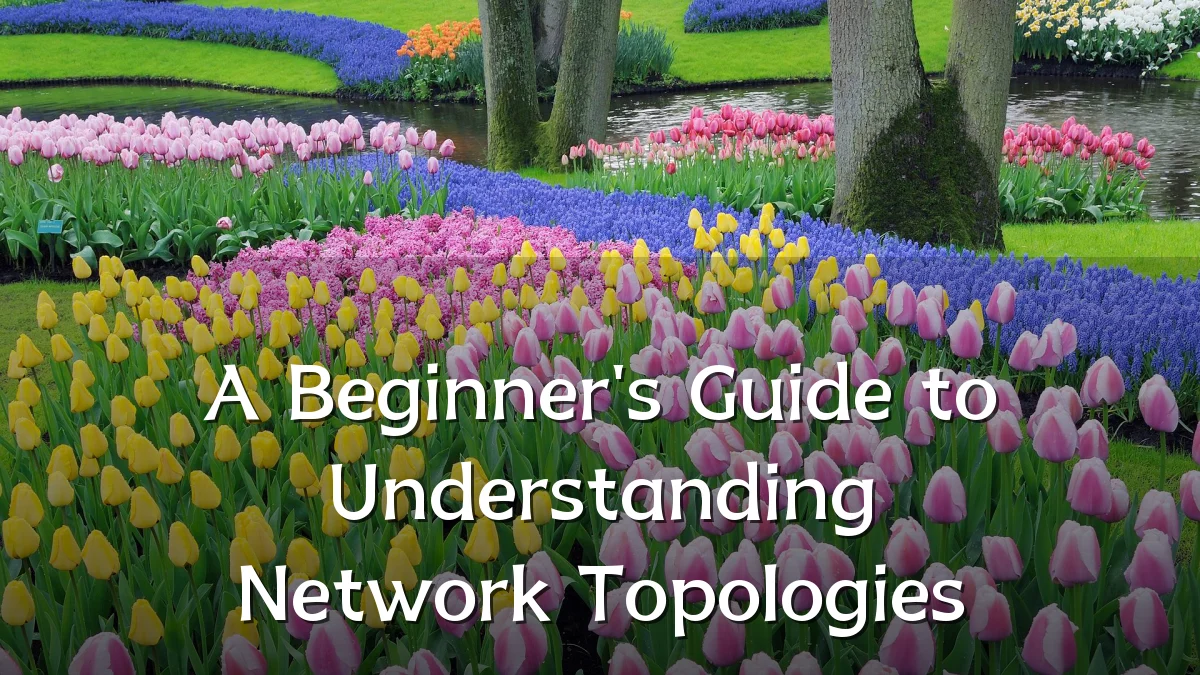 A Beginner's Guide to Understanding Network Topologies