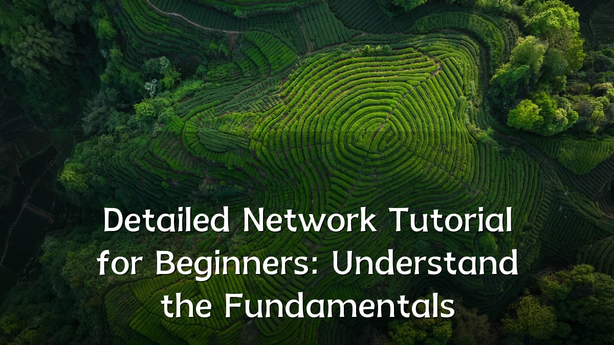 Detailed Network Tutorial for Beginners: Understand the Fundamentals
