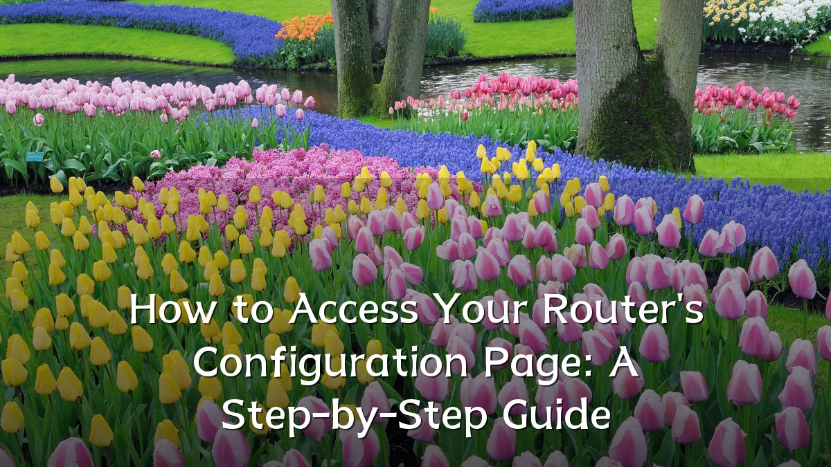 How to Access Your Router's Configuration Page: A Step-by-Step Guide