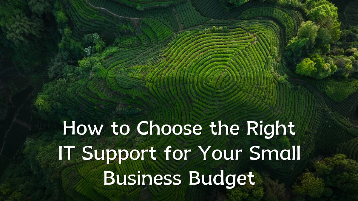 How to Choose the Right IT Support for Your Small Business Budget