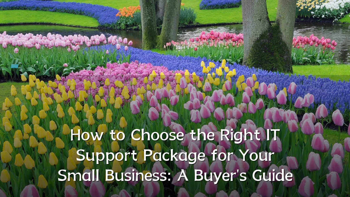 How to Choose the Right IT Support Package for Your Small Business: A Buyer's Guide