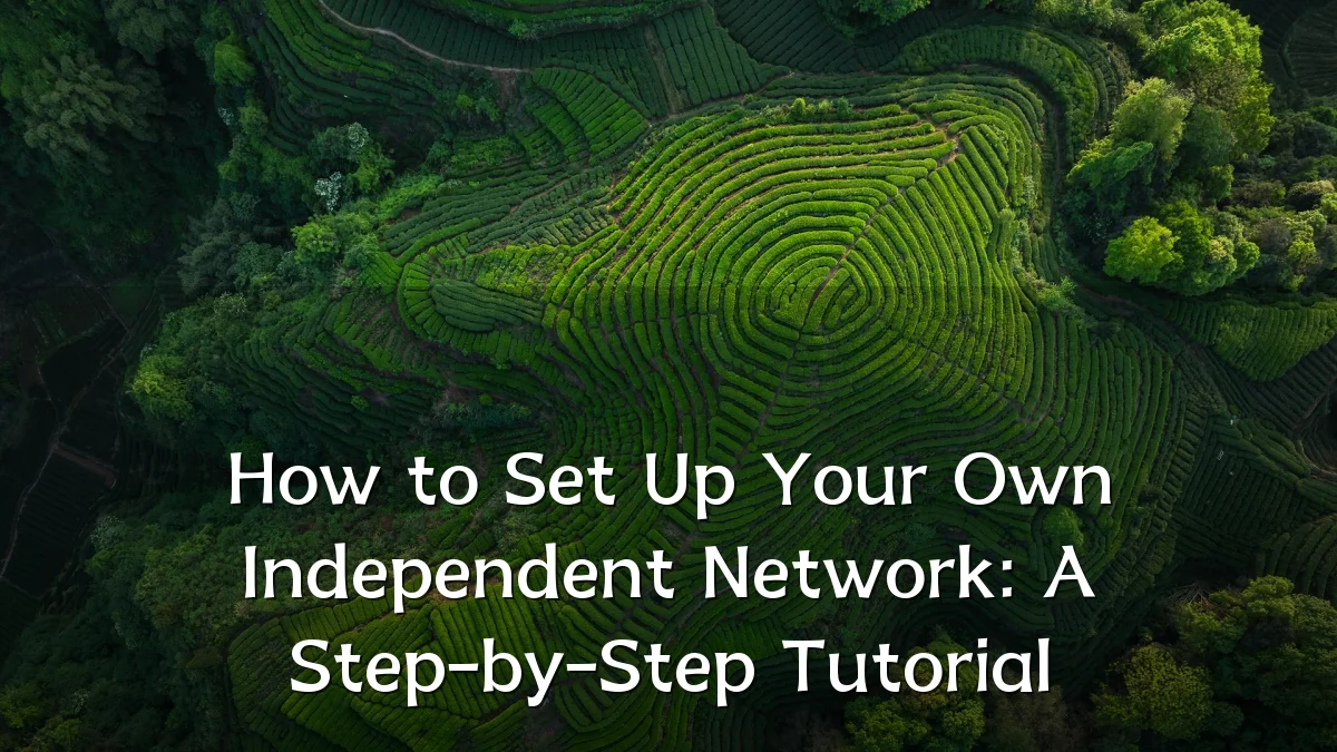 How to Set Up Your Own Independent Network: A Step-by-Step Tutorial