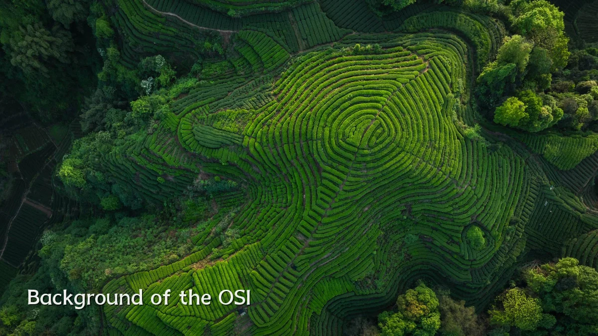 Background of the OSI