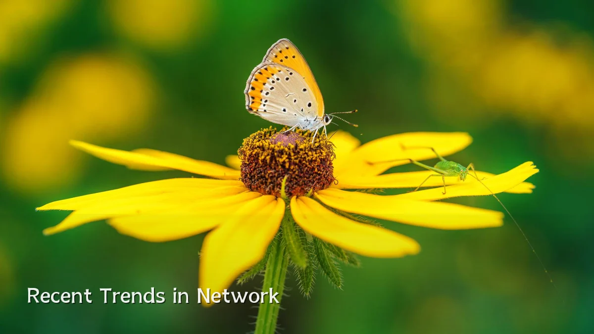 Recent Trends in Network