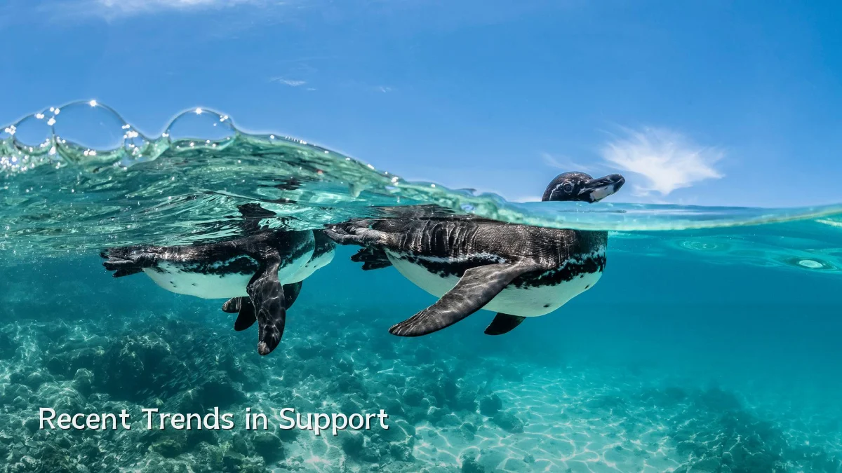 Recent Trends in Support