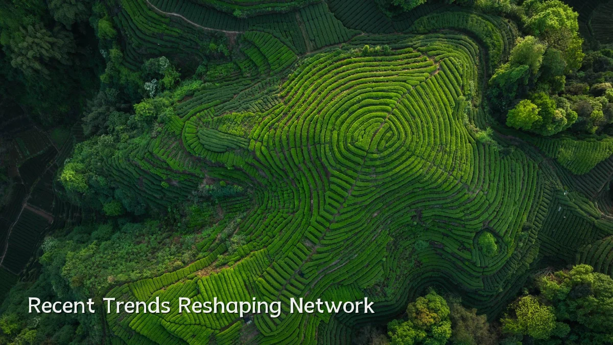 Recent Trends Reshaping Network