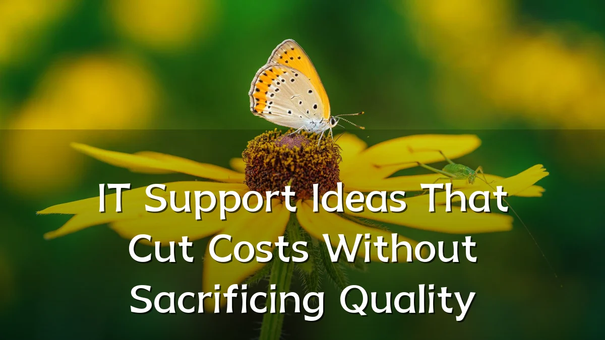 IT Support Ideas That Cut Costs Without Sacrificing Quality