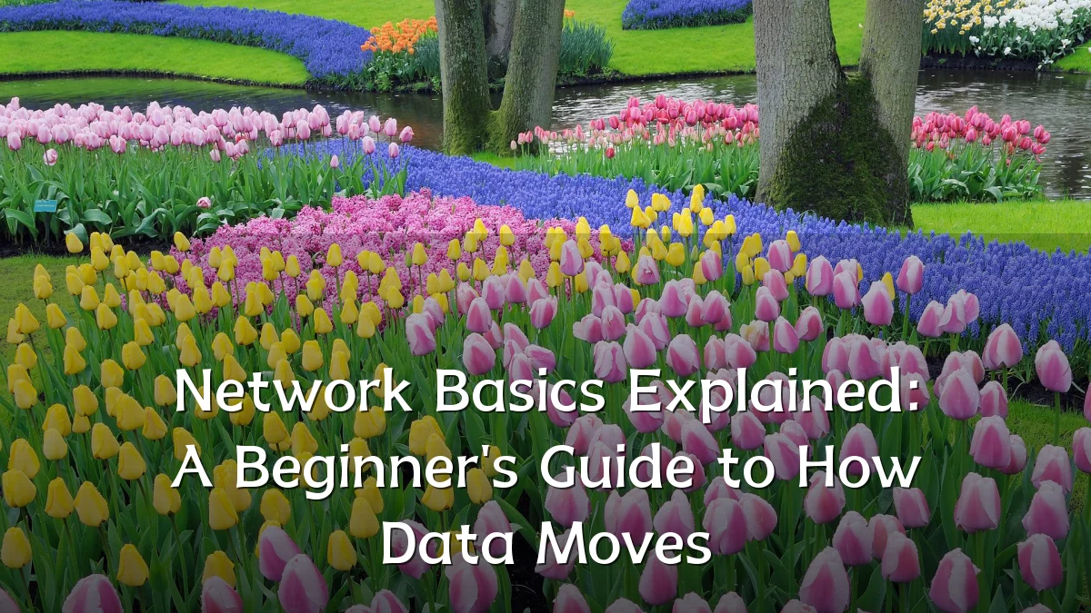 Network Basics Explained: A Beginner's Guide to How Data Moves
