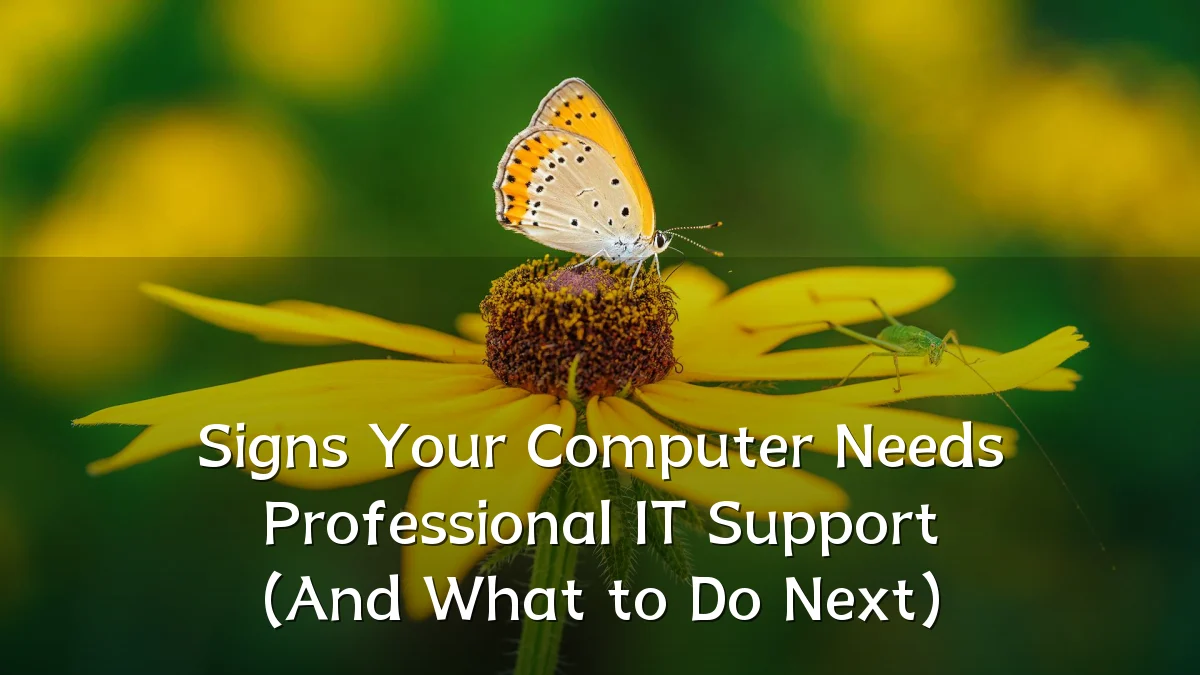 Signs Your Computer Needs Professional IT Support (And What to Do Next)