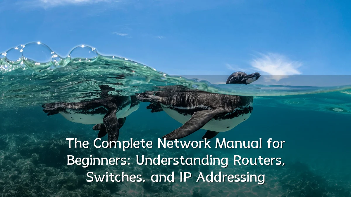 The Complete Network Manual for Beginners: Understanding Routers, Switches, and IP Addressing