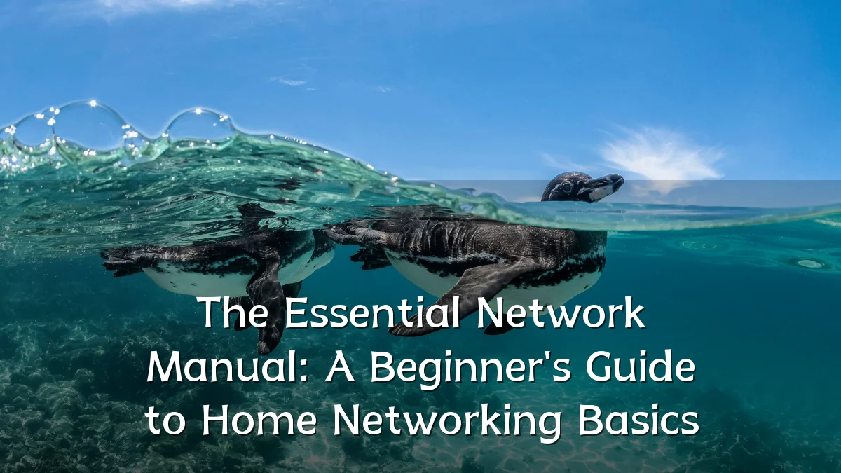 The Essential Network Manual: A Beginner's Guide to Home Networking Basics