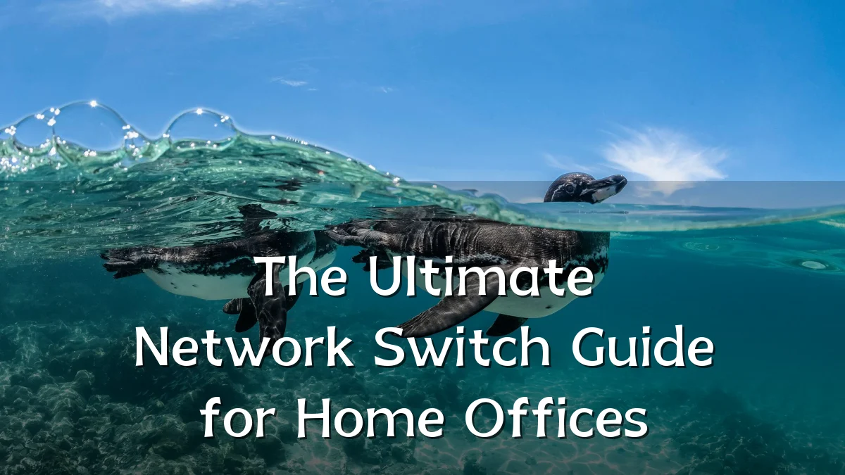 The Ultimate Network Switch Guide for Home Offices