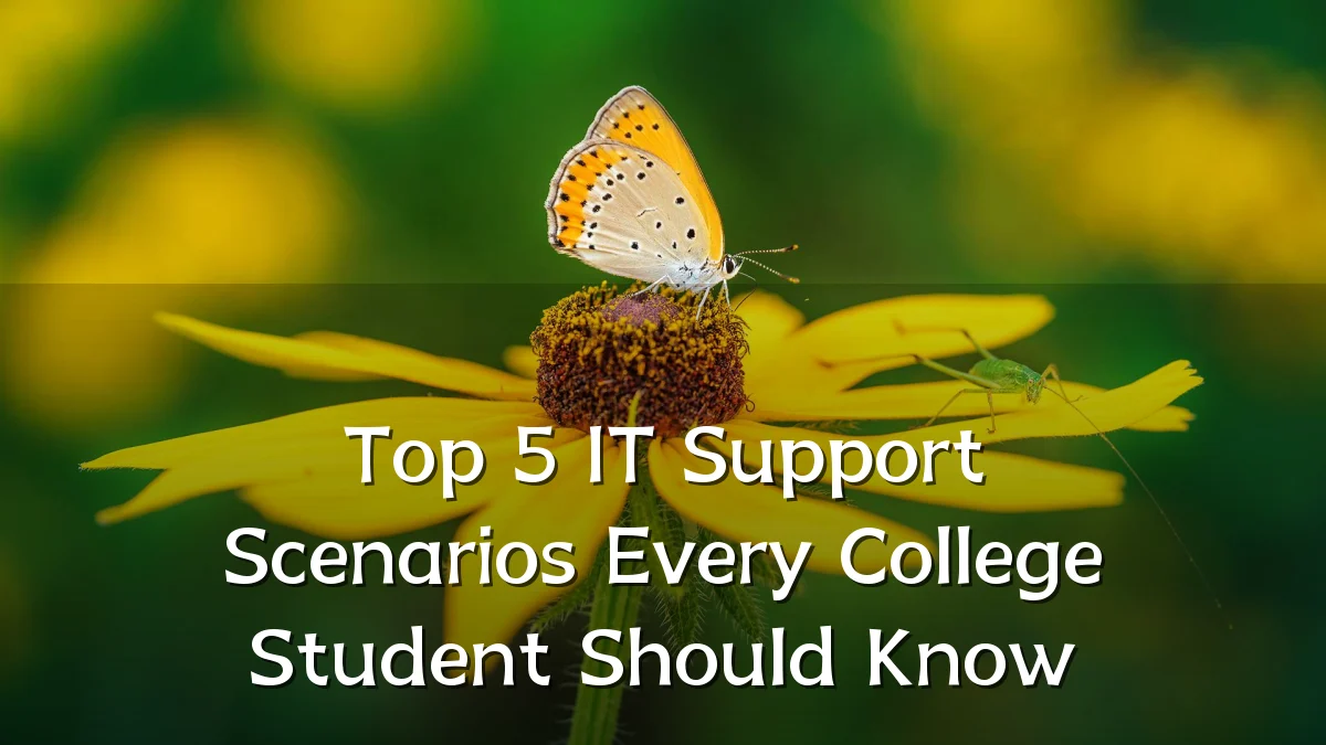 Top 5 IT Support Scenarios Every College Student Should Know