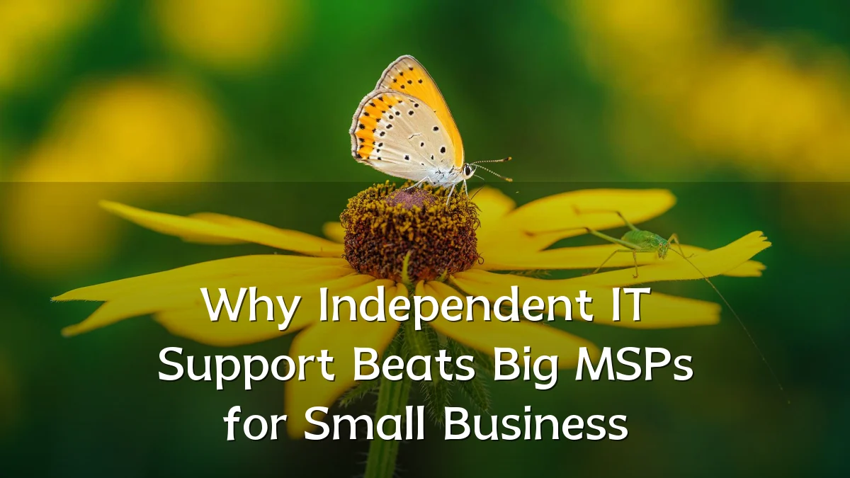 Why Independent IT Support Beats Big MSPs for Small Business