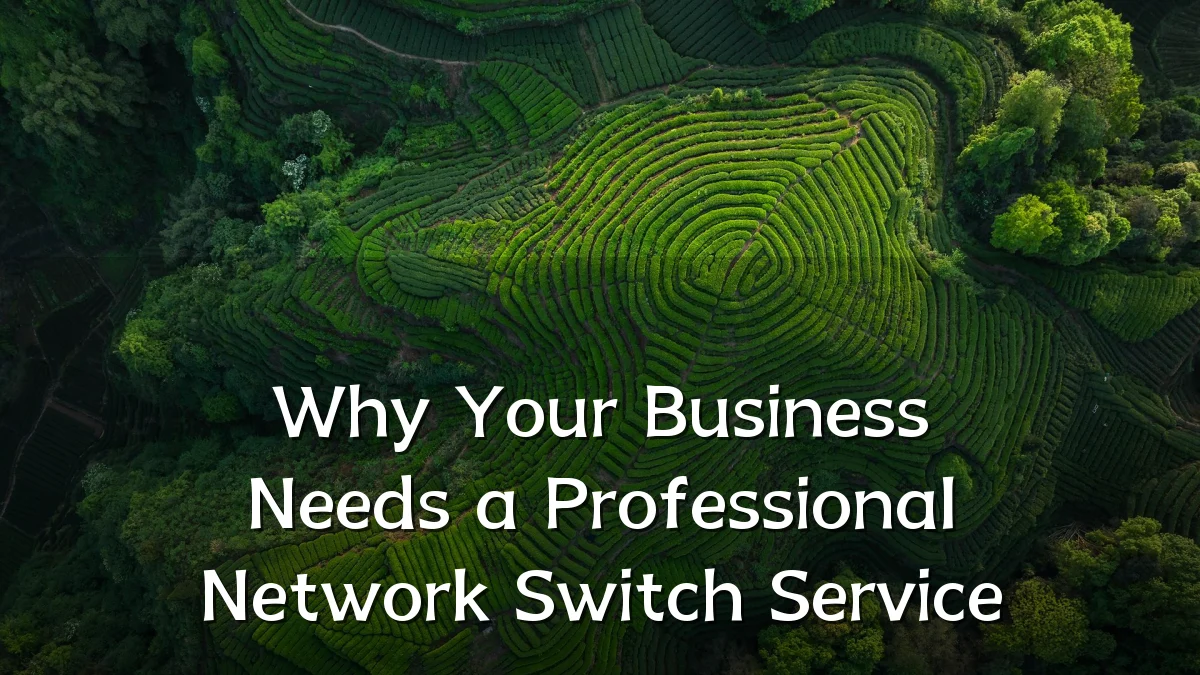 Why Your Business Needs a Professional Network Switch Service