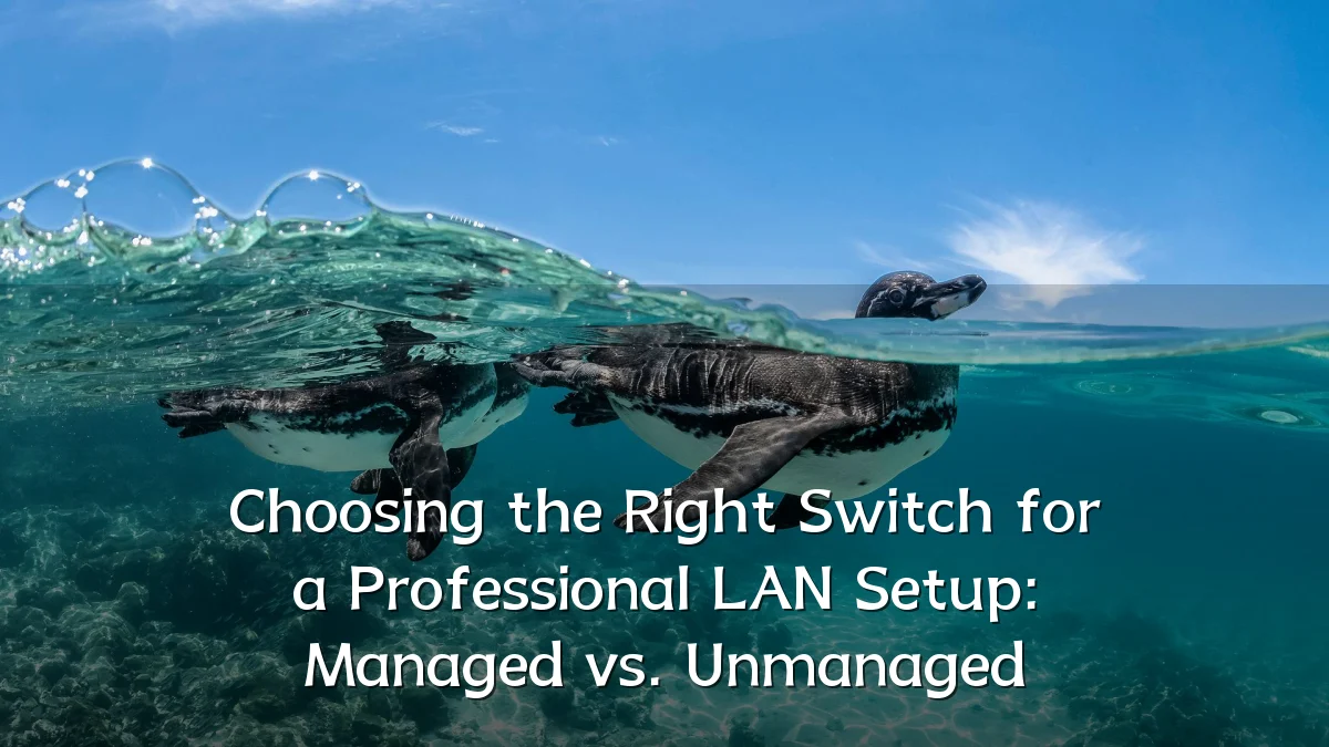 Choosing the Right Switch for a Professional LAN Setup: Managed vs. Unmanaged