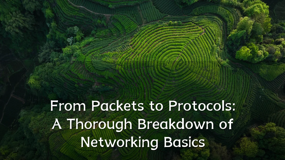 From Packets to Protocols: A Thorough Breakdown of Networking Basics