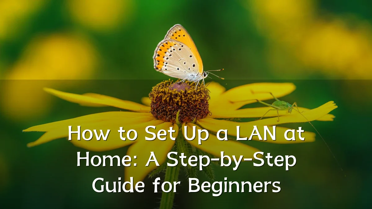 How to Set Up a LAN at Home: A Step-by-Step Guide for Beginners