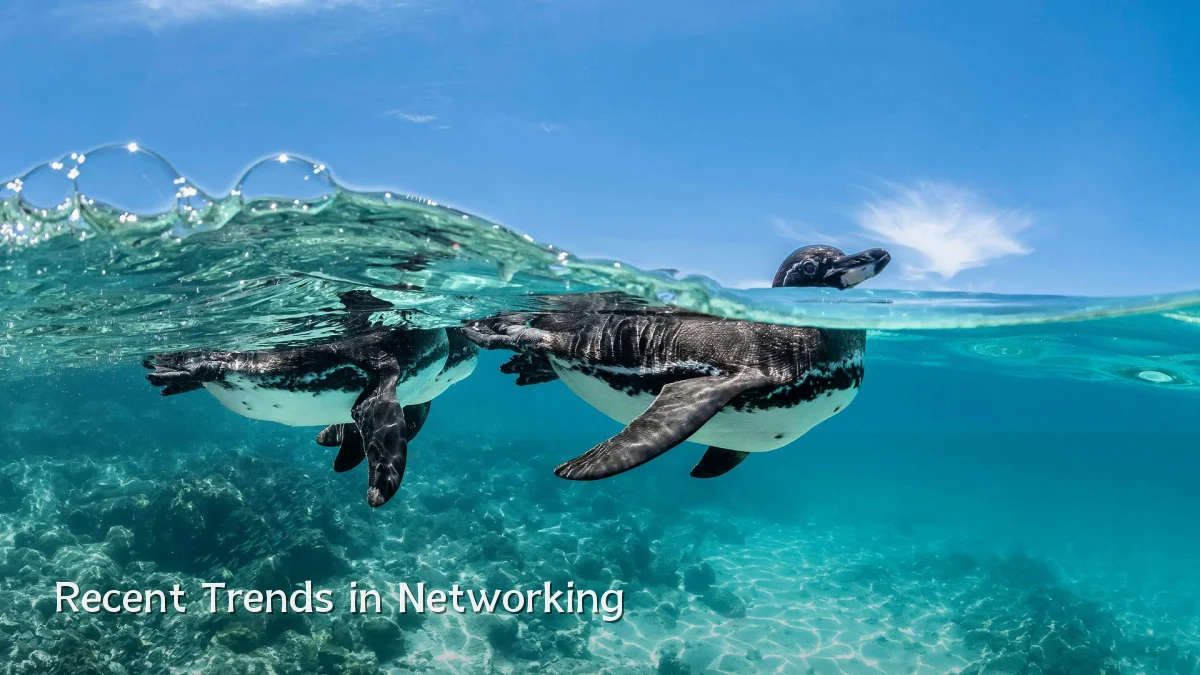 Recent Trends in Networking