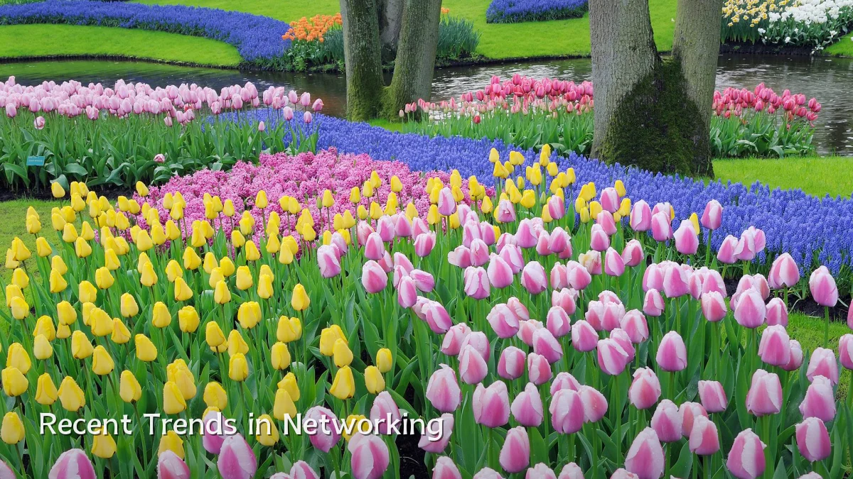 Recent Trends in Networking