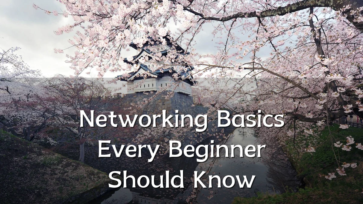 Networking Basics Every Beginner Should Know