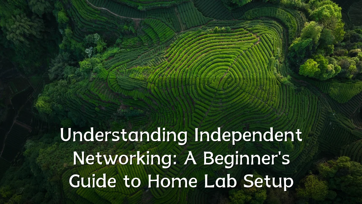 Understanding Independent Networking: A Beginner's Guide to Home Lab Setup
